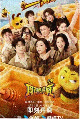 日本综艺不卡在线观看